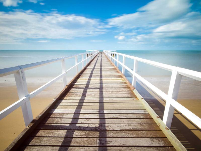 野生动物 - 大象